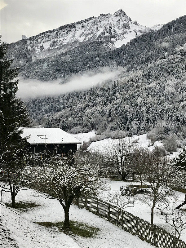 瑞士- Vaud - villars - ollon村